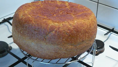 Chleba