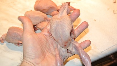 Křepelky plněné hroznovým vínem s koňakovovínovou omáčkou, Křepelky očistíme, osolíme a opepříme