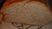 Obyčejný chlebík