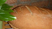 Obyčejný chlebík