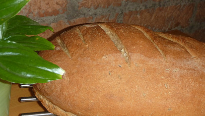 Obyčejný chlebík