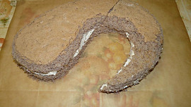 Ořechový sumec