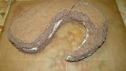 Ořechový sumec