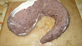Ořechový sumec