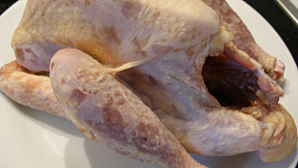 Perlička s chřestovou nádivkou