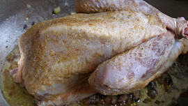 Perlička s chřestovou nádivkou