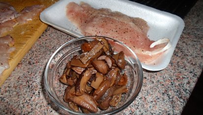 Slezské řízky