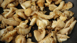 Bramboráky nastavované kuskusem s hlívou