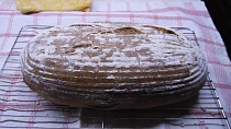 Chléb konzumní