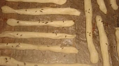 Domácí slané tyčinky