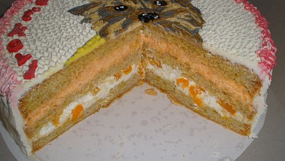 Dort yorkšíráček krémový