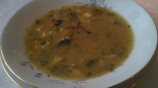 Hřibová polévka