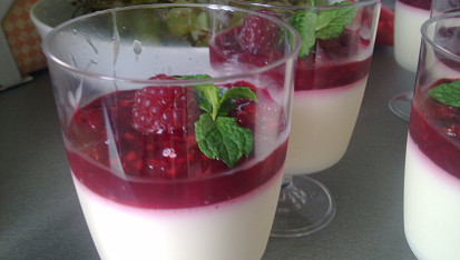 Malinová panna cotta