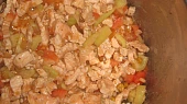 Mexická tortilla s kuřecím masem