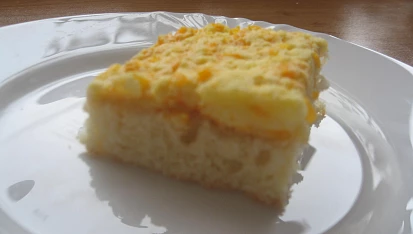 Třepací buchta