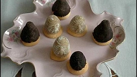 Vosí hnízda kakaová