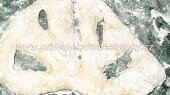 Fougasse
