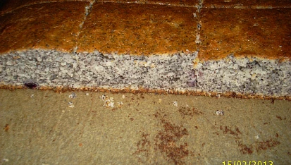 Luxusní a rychlý makovník