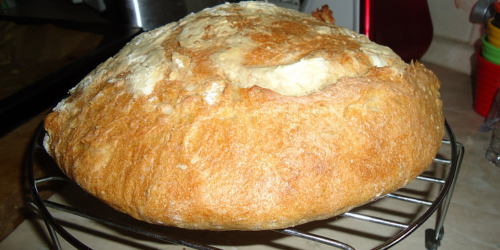 Ošatkový chléb (můj chleba)
