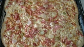 Pizza na plech