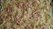 Pizza na plech