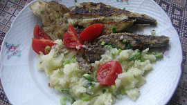 Smažený rybí filet s bylinkovým osvěžením