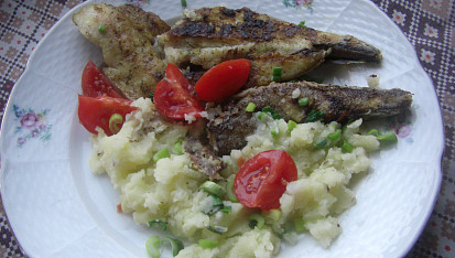 Smažený rybí filet s bylinkovým osvěžením