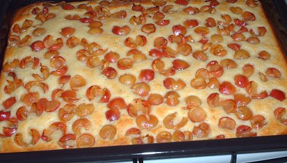 Tvarohový koláč s ovocem (třešněmi)
