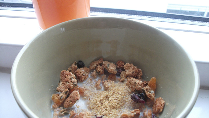 Granola, Granola se sojovým jogurtem posypaná drcenými lněnými semínky