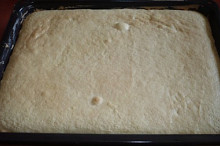 Předpečený piškot