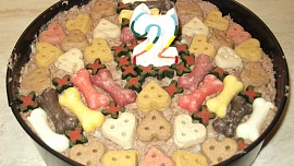 Narozeninový dort pro psy