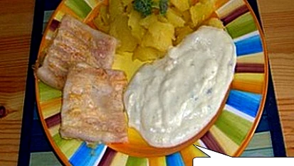 Rybí filety grilované  - se sýrovou omáčkou