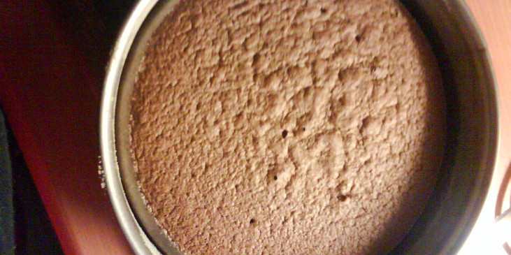 Rychlý dort (malý) (Upečený dort,ještě bez pudingu)