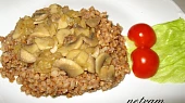 Žampionová pohanka