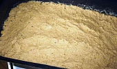 Bramboráková pizza šumavská