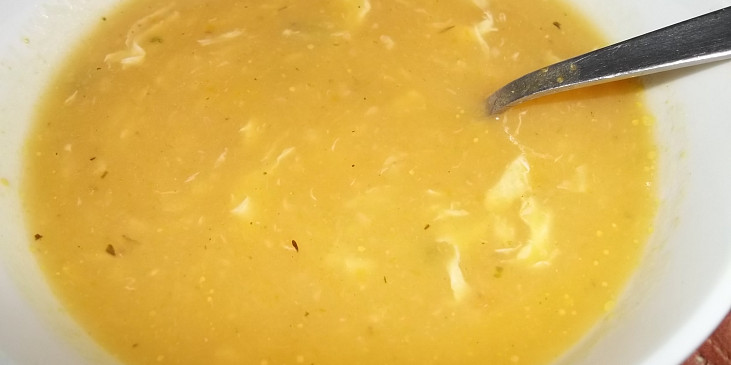 Jemná krémová kapustová polévka (jemná krémová kapustová polévka)
