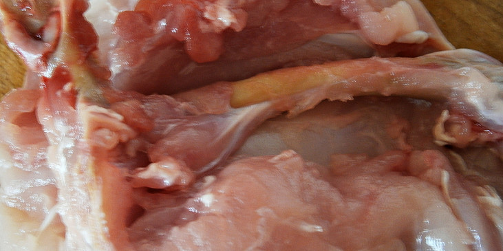 Detail řezu kolem kosti