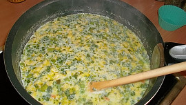 Mléčno - zeleninová polévka