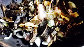 Pečená kuřecí stehýnka s bobkovým listem a sušenými houbami, cibule, česnek, namočené houby.....