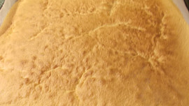 Piškotová roláda s oříšky, broskvemi a kiwi