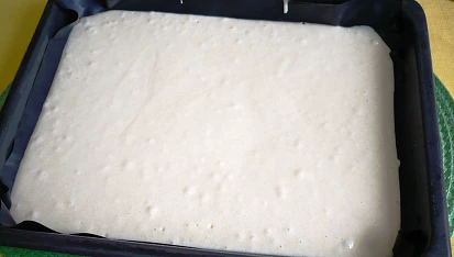 Rychlá bublanina s rybízem