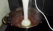 Rychlá polévka z mrkve a křenu (Masox necháme rozpustit a rošleháme)