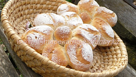 Sedmikrásky