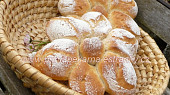 Sedmikrásky