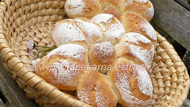Sedmikrásky