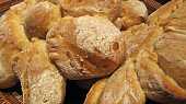 Sedmikrásky