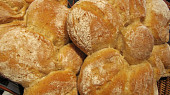 Sedmikrásky