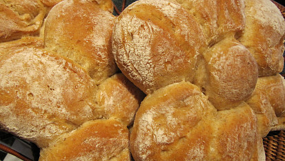 Sedmikrásky