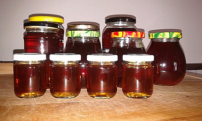 bezinkový "med" 2013