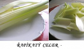BUŠI přílohový řapíkatý celer